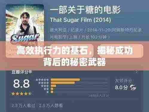 高效执行力的基石,揭秘成功背后的秘密武器