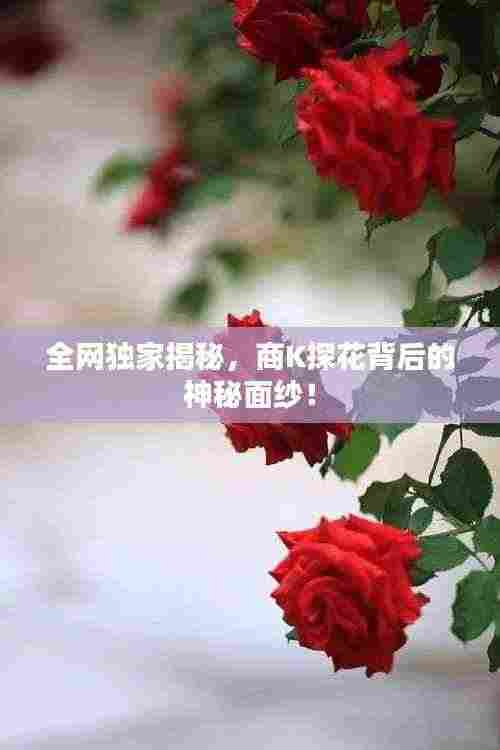 全网独家揭秘,商K探花背后的神秘面纱!