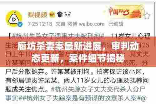 廊坊杀妻案最新进展,审判动态更新,案件细节揭秘