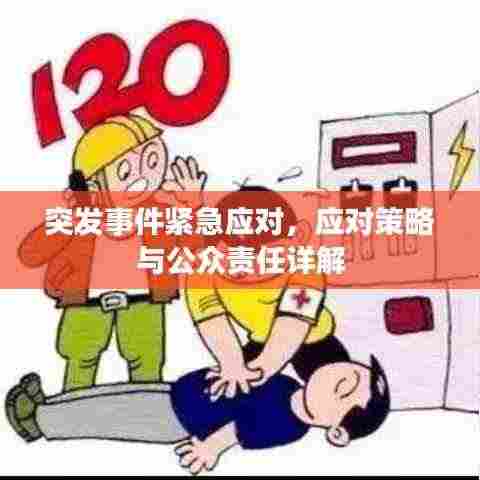 突发事件紧急应对,应对策略与公众责任详解