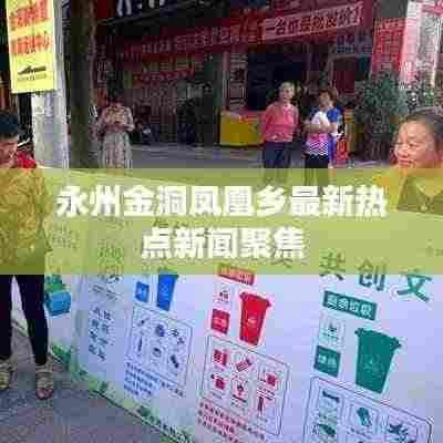 永州金洞凤凰乡最新热点新闻聚焦