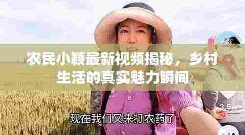 农民小颖最新视频揭秘,乡村生活的真实魅力瞬间